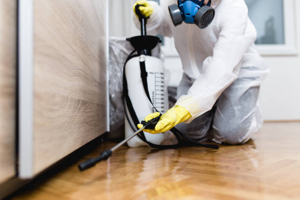 Best Pest Control for Homes  in Daphne, AL