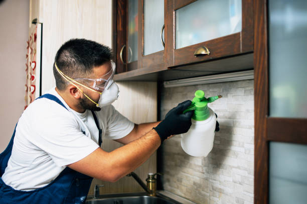 Best Cockroach Control Services  in Daphne, AL