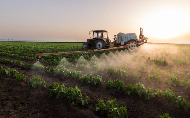 Best Commercial Pest Control Services  in Daphne, AL