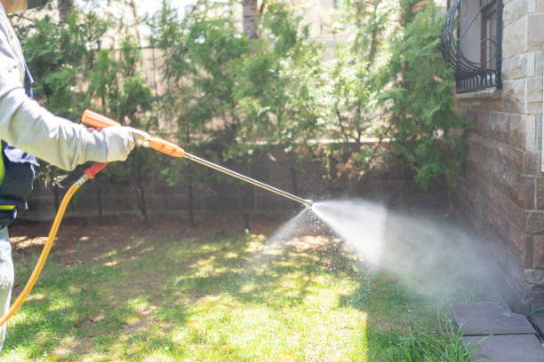 Best Cockroach Control Services  in Daphne, AL