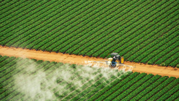 Best Pest Removal Services  in Daphne, AL