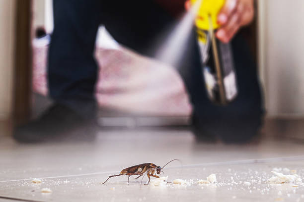 Pest Control for Restaurants in Daphne, AL