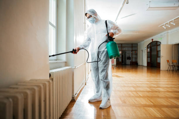 Best Flea Control Services  in Daphne, AL